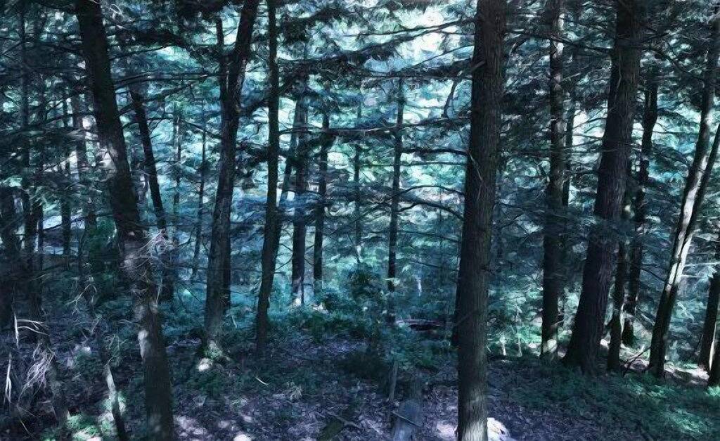 Nord Haus am Dell Creek Channel in Lake Delton, Sauk County