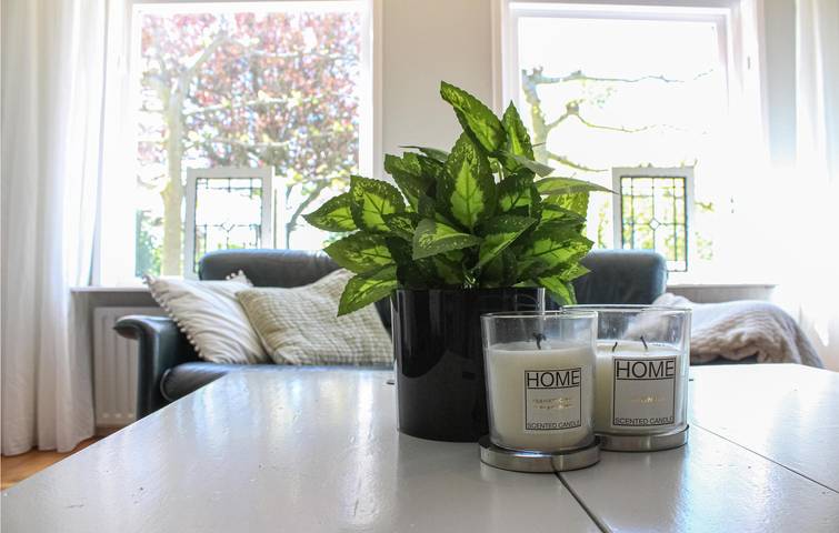 Ferienhaus für 10 Personen, mit Terrasse und Garten, mit Haustier in Scharendijke - 4