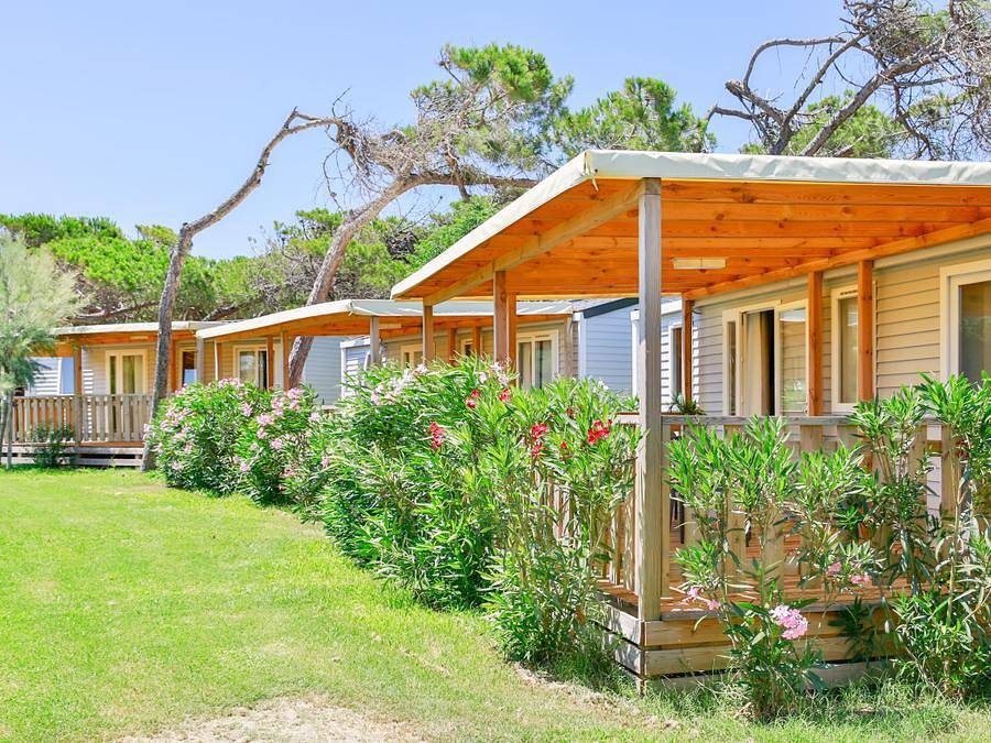 Gitavillage California  - Mobilheim 6 personen - Premium Lodge in Montalto di Castro, Viterbo Provinz