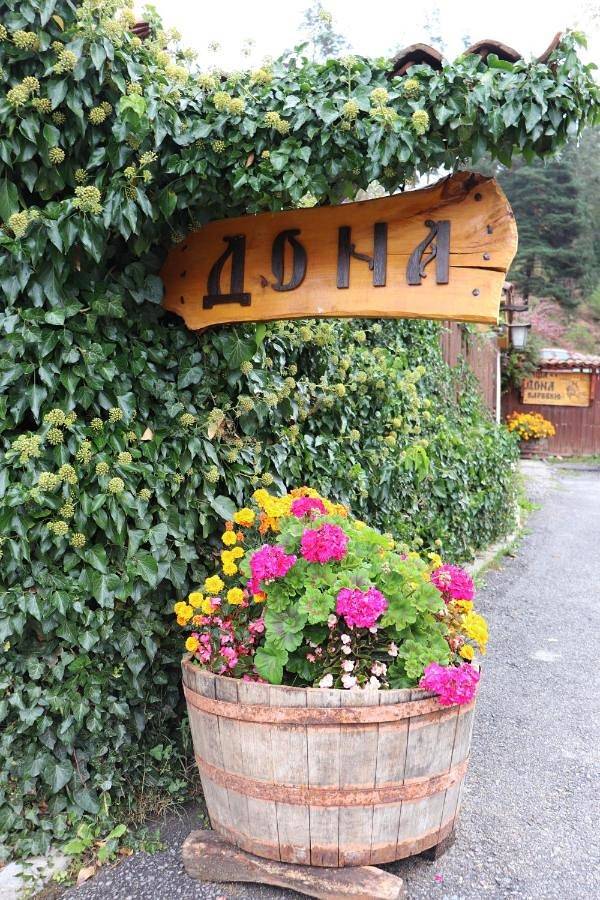 Maison d’hôte pour 2 personnes, avec jardin et jacuzzi à Koprivchtitsa - 4