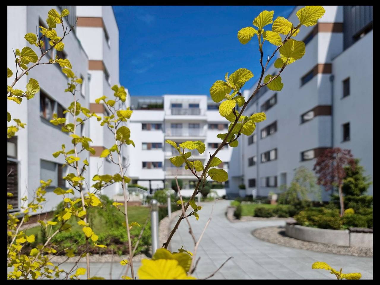 Ganze Ferienwohnung, Platan (Wo13) in Swinemünde, Stettiner Haff