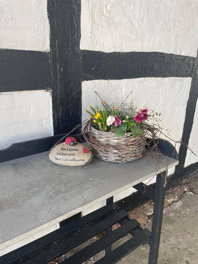 B&B für 6 Personen, mit Garten und Ausblick in Dänemark - 2