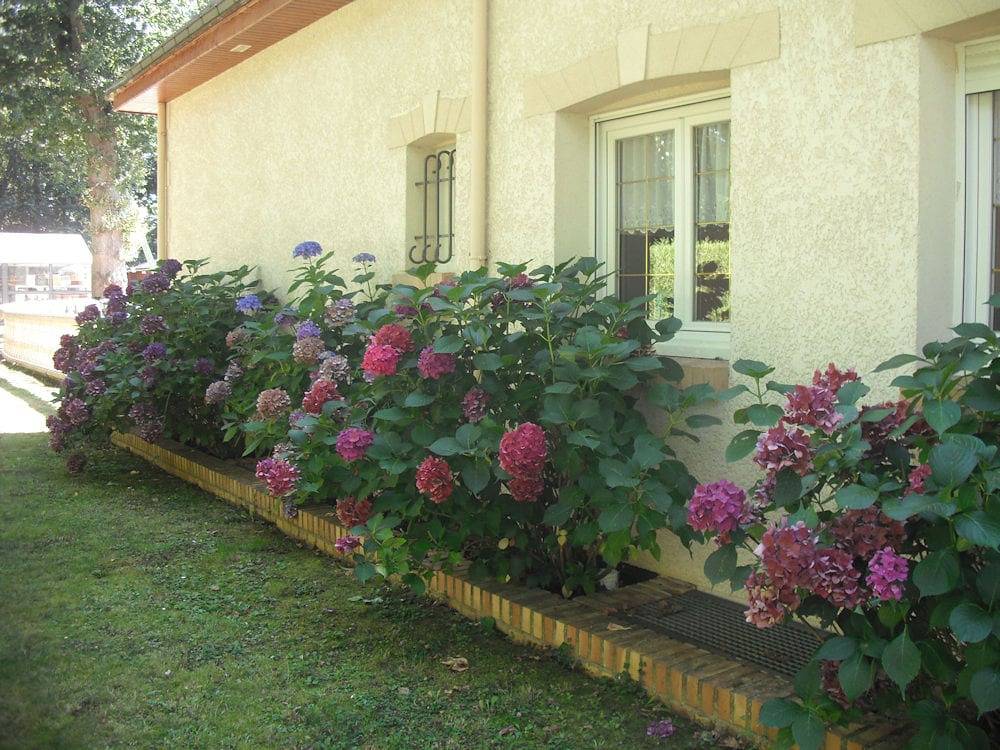 Les Chambres du Lac - Chambre La florale in Forges-les-Eaux, Région de Dieppe