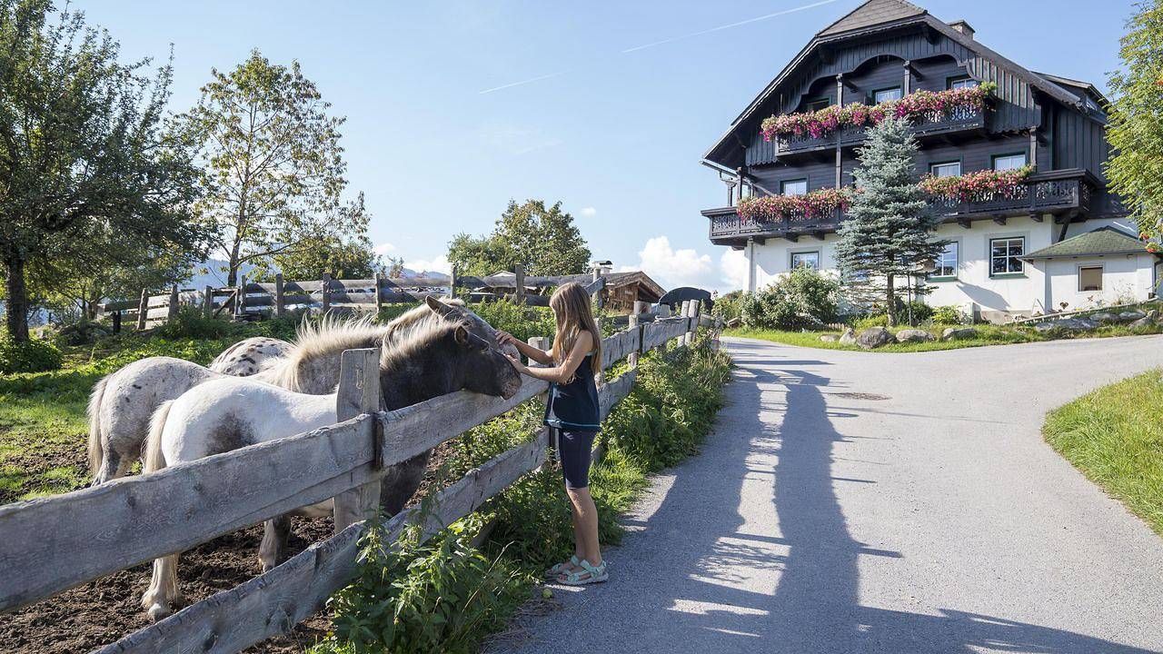 Ganze Ferienwohnung, Ferienwohnung für 2 Personen (40 m²) in Ramsau am Dachstein in Ramsau am Dachstein, Schladming-Dachstein