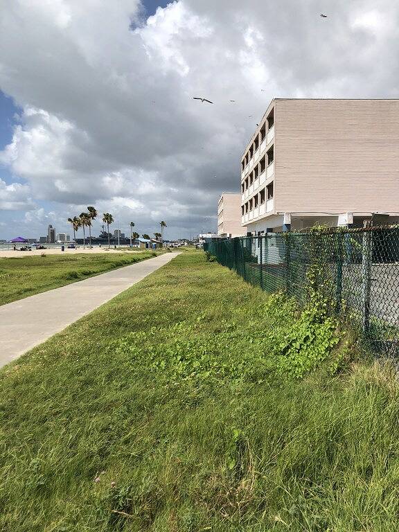 Ganze Wohnung, Beach, Sun, Surf und Beachfront Condos! in Corpus Christi, Nueces County