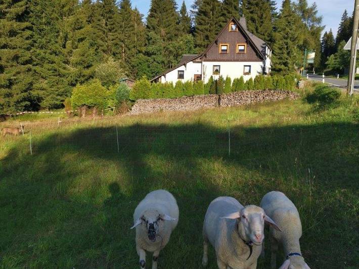 Hotel für 4 Personen in Breitenbrunn / Erzgebirge - 4