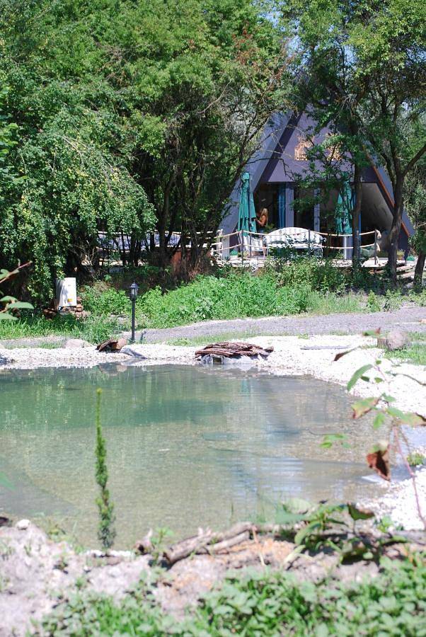 Chalet für 5 Personen, mit Whirlpool und Terrasse sowie Garten und Pool in Ungarn - 4