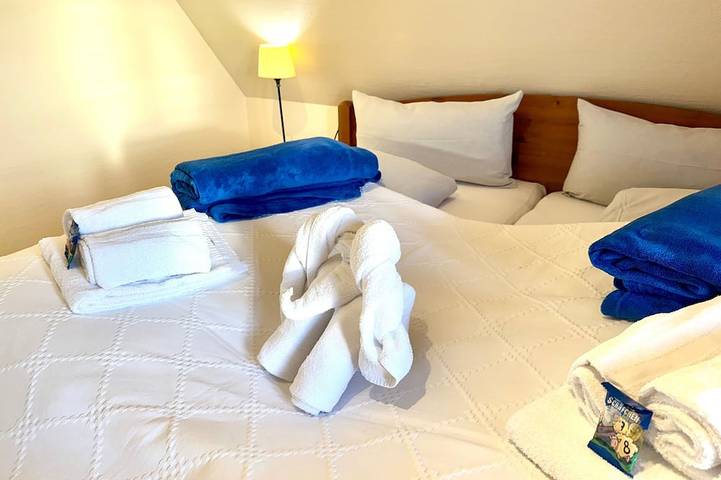 Ferienwohnung für 3 Personen, mit Haustier in Dunsum - 3