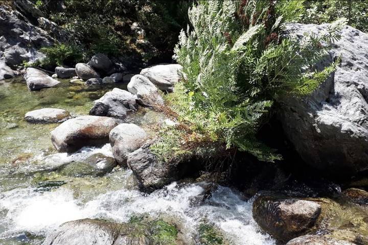 Ferienhaus mit Meerblick für 10 Personen, mit Terrasse, kinderfreundlich auf Korsika - 3