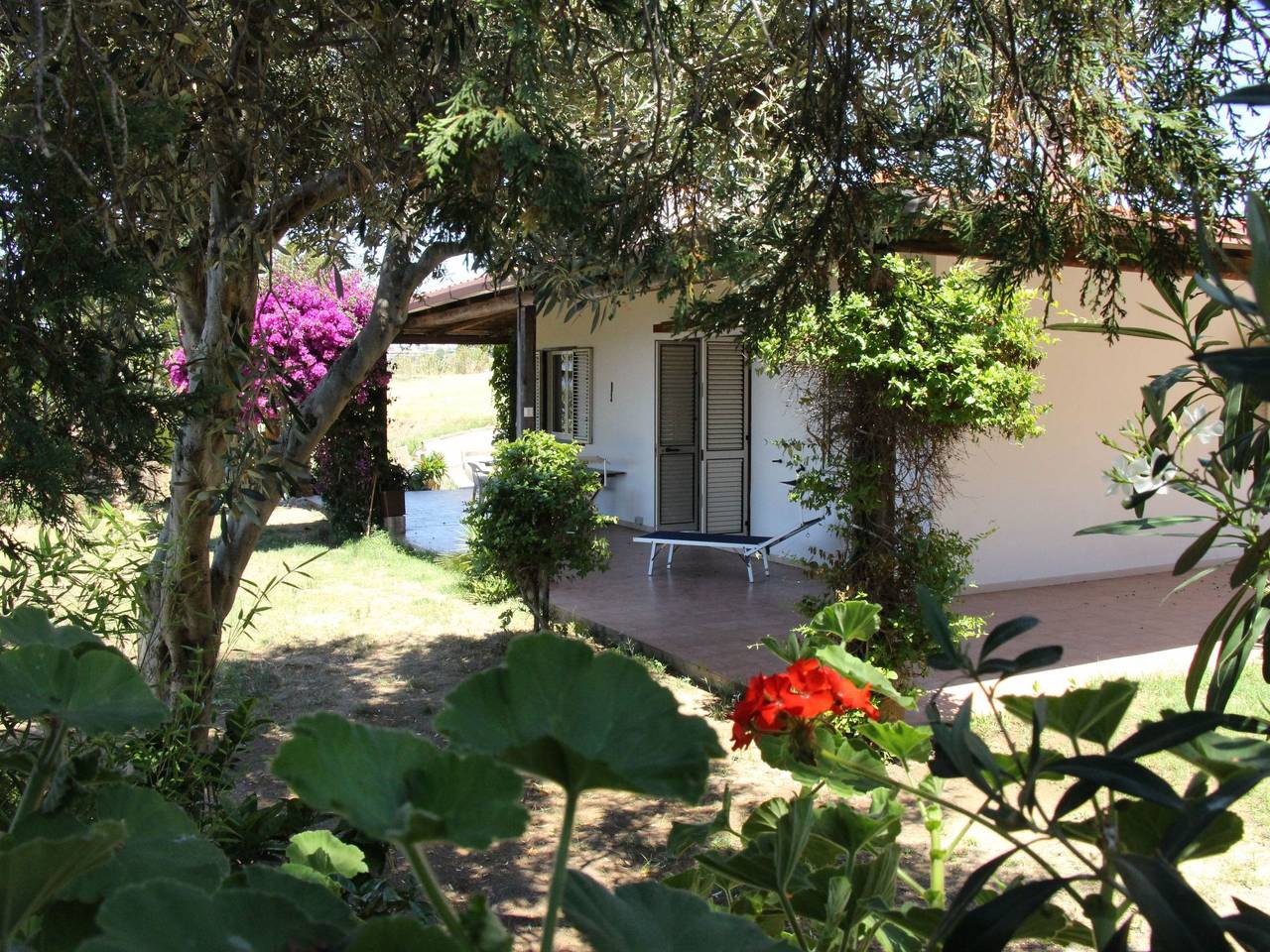 Vanessa in Santa Maria (Vibo Valentia), Vibo Valentia Provinz