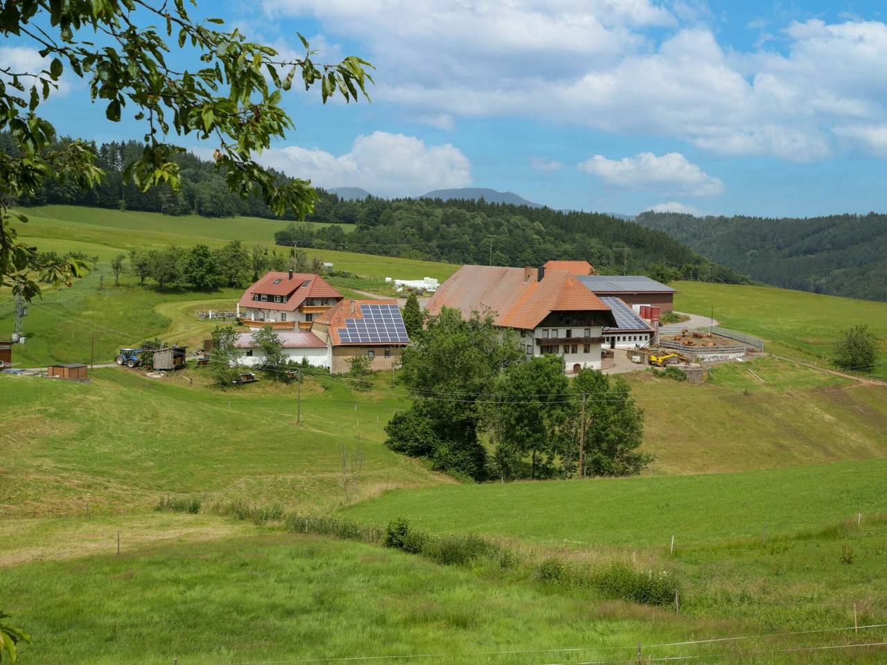 Ganze Wohnung, Mittelberghof - Mittelberghof 647.1 in Hofstetten, Mittlerer Schwarzwald