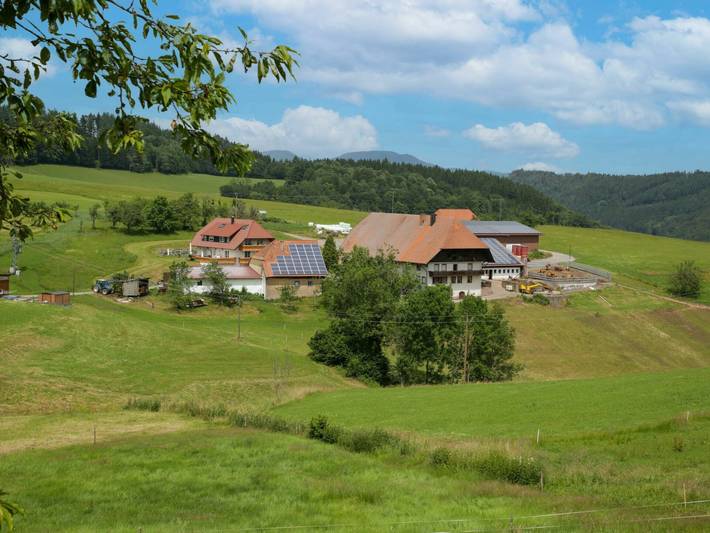 Ferienwohnung für 4 Personen, mit Terrasse und Garten in Hofstetten - 4