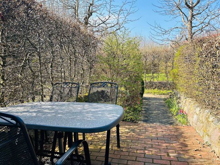 Ferienwohnung für 3 Personen, mit Terrasse und Garten in Göhren-Lebbin - 4