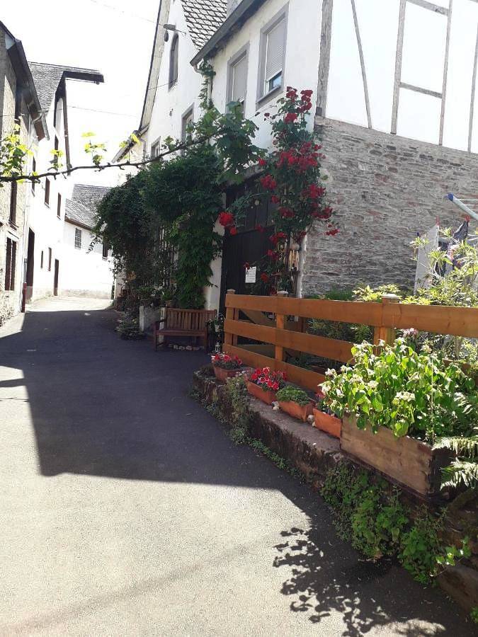 Ferienwohnung für 4 Personen, mit Terrasse und Ausblick in Reil