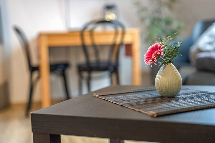 Gîte pour 3 personnes à Ettenheim - 3