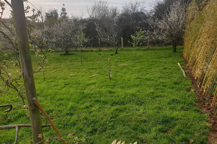 Location de vacances pour 4 personnes à Pennedepie - 4