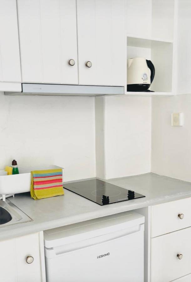 Location de vacances pour 3 personnes, avec terrasse et jardin, animaux acceptés dans Σκάλα Ερεσού - 2