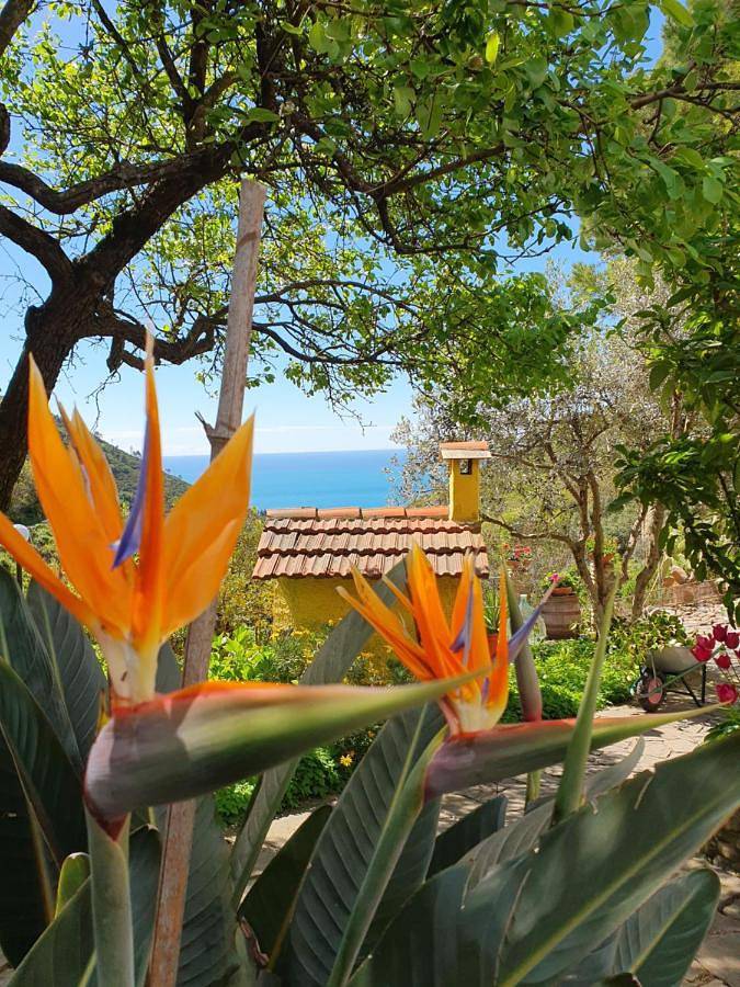 Agriturismo Costa di Campo in Vernazza, Vernazza Gemeinde
