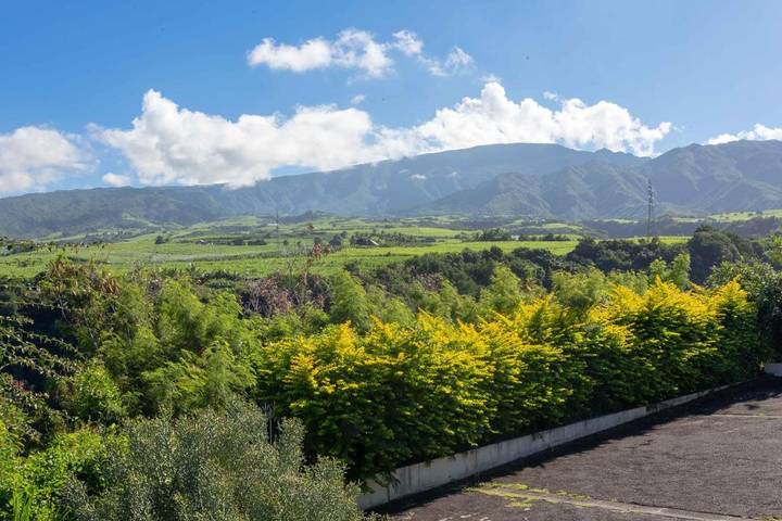 Chambre d’hôte pour 5 personnes, avec jardin ainsi que piscine et jacuzzi sur l' Île de la Réunion - 3