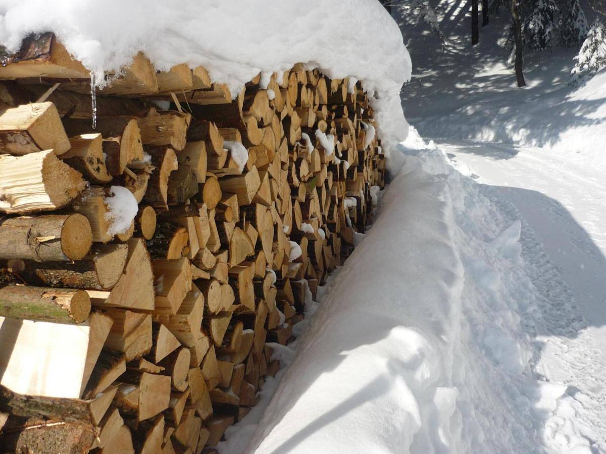 Waldchalets & Ferienwohnungen Allgäu in Grünten, Burgberg im Allgäu