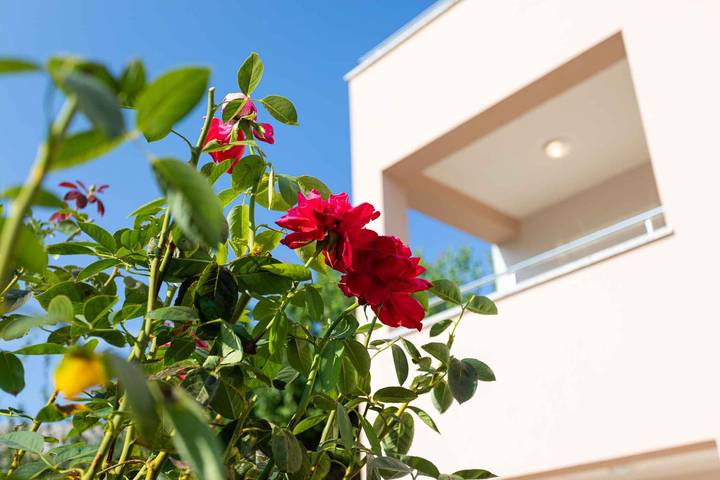 Apartamento vacacional entero, Apartamento de vacaciones a 100 m del mar in Vela plaža, Baska
