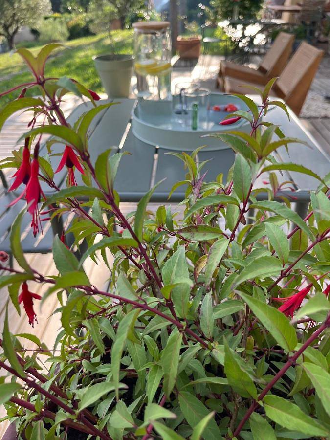 Chambre d’hôte pour 2 personnes, avec piscine et terrasse ainsi que vue et jardin dans Minervois - 4