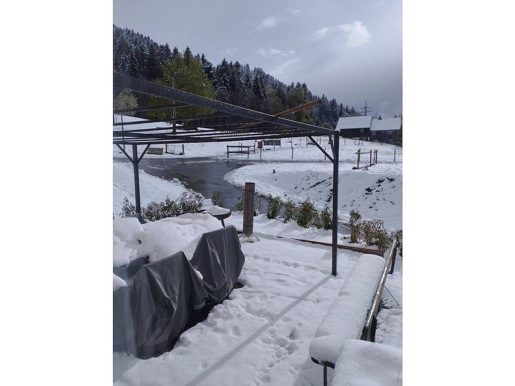 Ferienwohnung mit 1 Schlafzimmer in Dornbirn, Bodensee-Vorarlberg