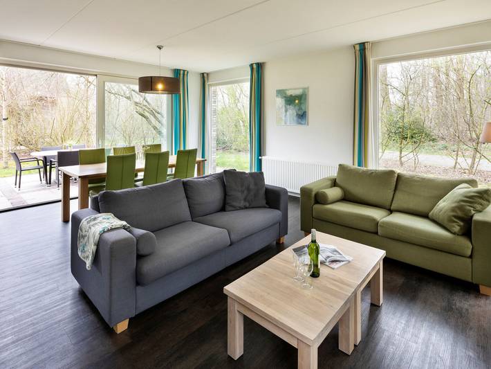 Wellnessvilla in Green Ruinen in Ruinen, Nationalpark Dwingelderveld