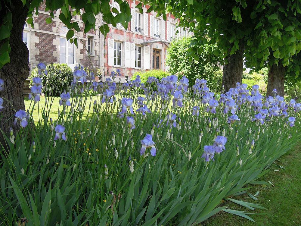 Le Clos Florésine - Chambre Florésine in Venette, Oise