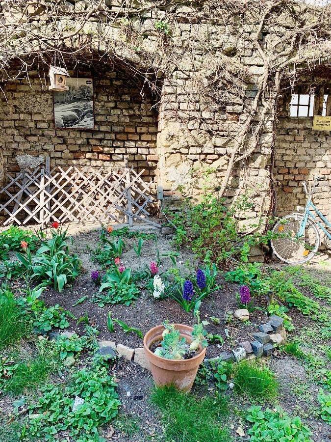 Maison de vacances pour 5 personnes, avec terrasse à Vienne (Autriche) - 3