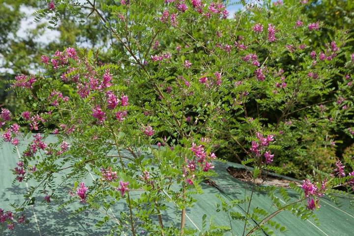 Location de vacances pour 2 personnes, avec terrasse et piscine ainsi que vue et jardin à Brive-la-Gaillarde - 2