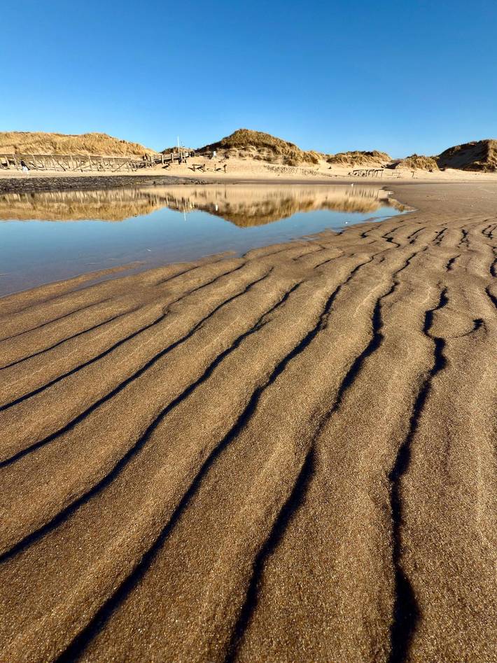 Bungalow für 5 Personen, mit Garten und Terrasse, mit Haustier in Nordholland - 3