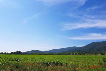 Casa Vacanza per 4 Persone in Grosseto, Parco naturale della Maremma, Foto 4
