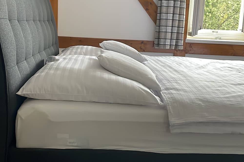 Ganze Wohnung, Romantic apartment in a historic villa with mountain views in Tatranska Lomnica Ski Area, Vysoké Tatry