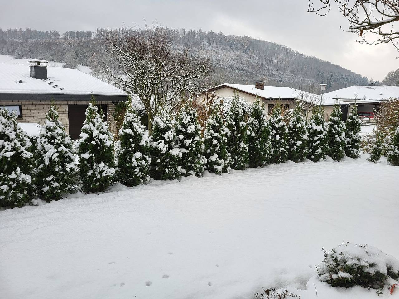 Ganze Ferienwohnung, Ferienwohnung Bodenwerder - Ferienwohnung mit Terrasse und Kamin, 2 Schlafzimmer, max. 4 Personen in Bodenwerder, Landkreis Holzminden