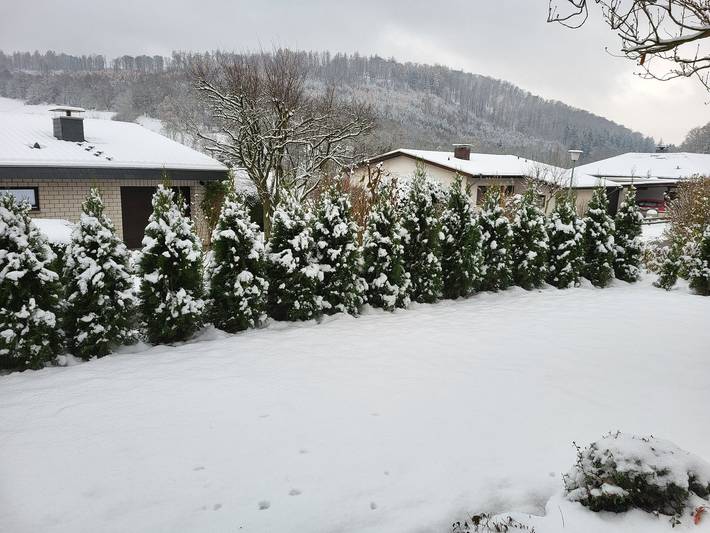 Ferienwohnung für 4 Personen, mit Balkon/Terrasse und Terrasse sowie Garten im Weserbergland - 2