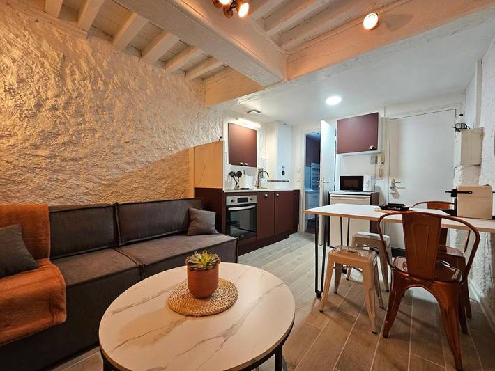 Gîte pour 4 personnes dans Théatre antique de Vienne - 3