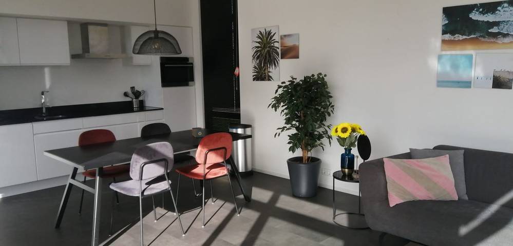 Ferienhaus für 4 Personen, mit Terrasse und Garten in den Niederlande - 3
