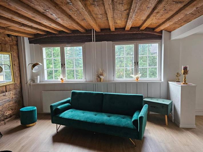 Gîte pour 2 personnes, avec vue sur le lac et vue, animaux acceptés à Arbon - 2