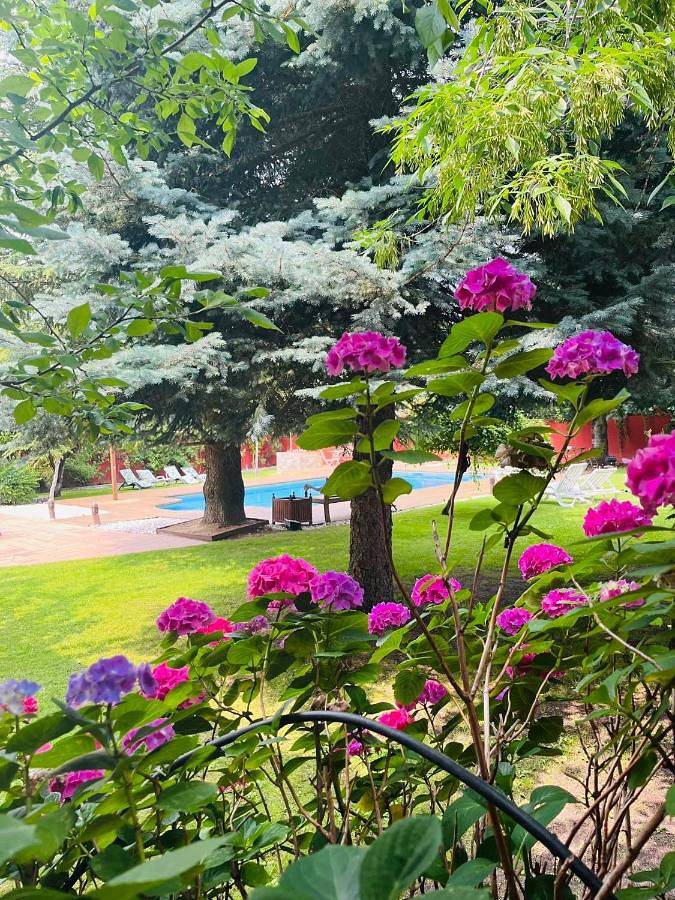 B&B Concha in Becerril de la Sierra, Área Metropolitana de Madrid