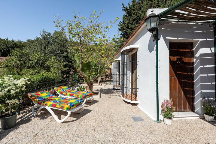 Zwembad, BBQ, strand op 7 min rijden op avocadoboerderij, 15 min van historisch centrum Málaga in Málaga (Este), Malaga