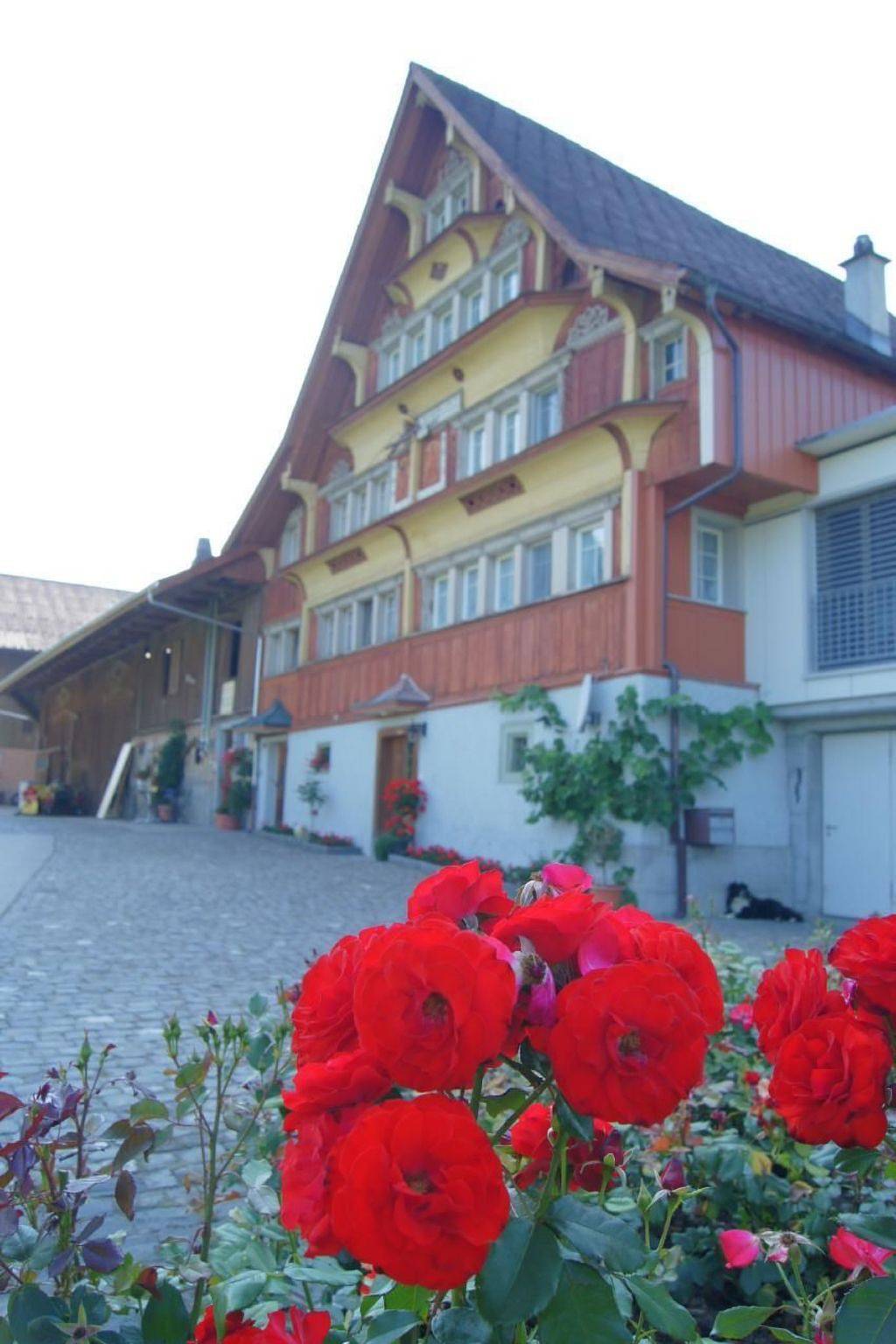 Ganze Wohnung, Auf dem Bauernhof in Lütisburg Station, Mosnang