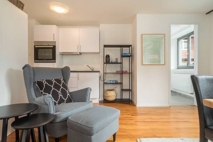 Appartement entier, Appartement moderne d'une pièce n° 12 en plein centre-ville avec Wi-Fi in Wangen, Region Bodensee-Oberschwaben