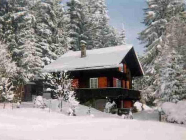 Location de vacances pour 4 personnes, avec balcon et jardin à Châtel-Saint-Denis