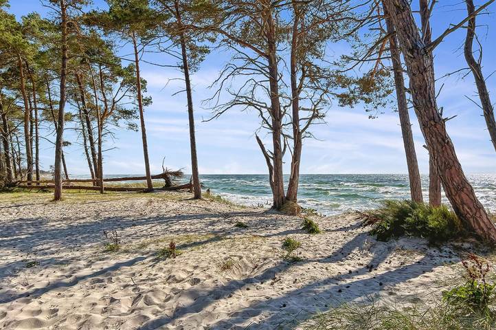 Ferienhaus für 8 Personen, mit Sauna und Terrasse sowie Whirlpool, mit Haustier auf Bornholm - 2