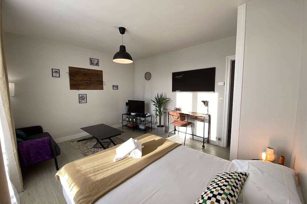 Geheel appartement, Large, quiet studio with balcony & free parking in Tours, Tours en omgeving