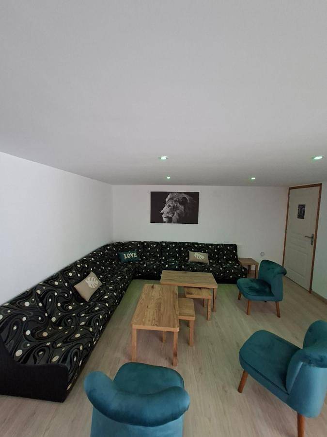 Location de vacances pour 8 personnes, avec sauna et jacuzzi, animaux acceptés à Allemant - 4