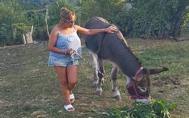 Maison de vacances pour 2 personnes, avec vue et jardin, animaux acceptés dans Lozère