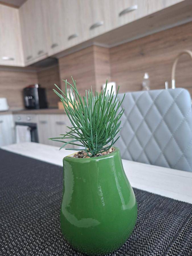 Appartement entier, Harmonia in Roussé, Bulgarie