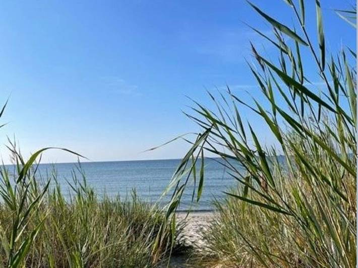 Ferienhaus für 6 Personen, mit Garten, kinderfreundlich auf Öland - 4